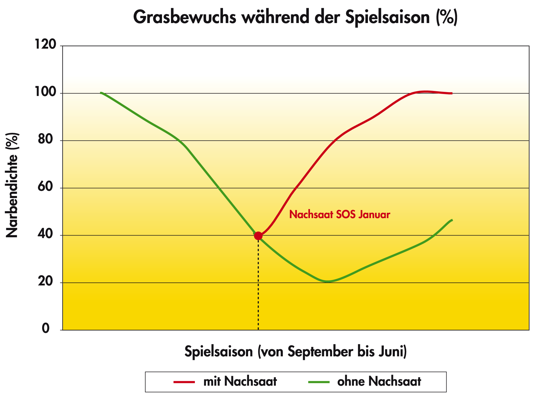 SOS_Graph_Grasbewuchs_wahrend_spielsaison.png